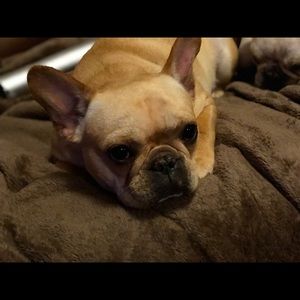 Meet your Posher, Brandy